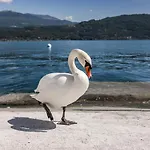 Apartmanhotel Maggiore Bay Baveno