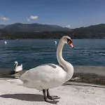 Apartmanhotel Maggiore Bay