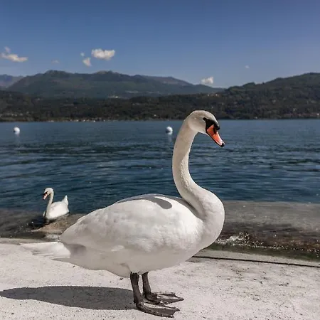 Aparthotel Maggiore Bay