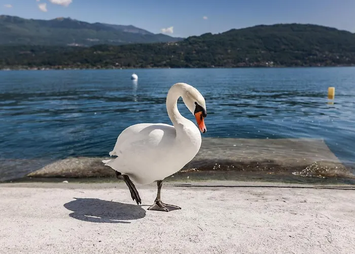 Апарт-отель Maggiore Bay Бавено